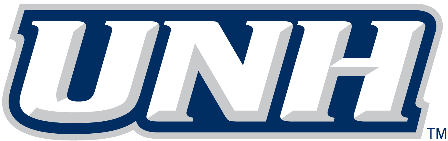 New Hampshire Wildcats 2000-Pres Wordmark Logo v3 diy fabric transfer